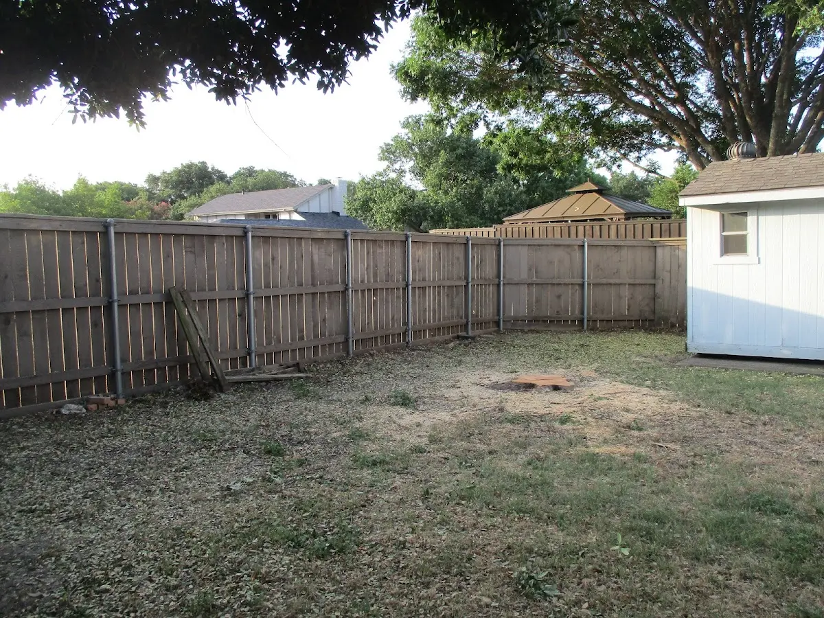 Cleared yard after professional tree removal in South Byron